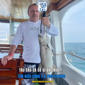 Tàu câu cá có gì đặc biệt? Tìm hiểu cùng T.A Pro Fishing