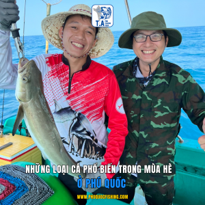 Những loại cá phổ biến trong mùa hè ở phú quốc