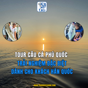 Tour câu cá Phú Quốc: Món quà đặc biệt cho khách Hàn Quốc