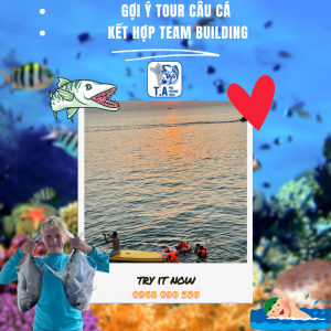 Gợi ý tour câu cá kết hợp team building