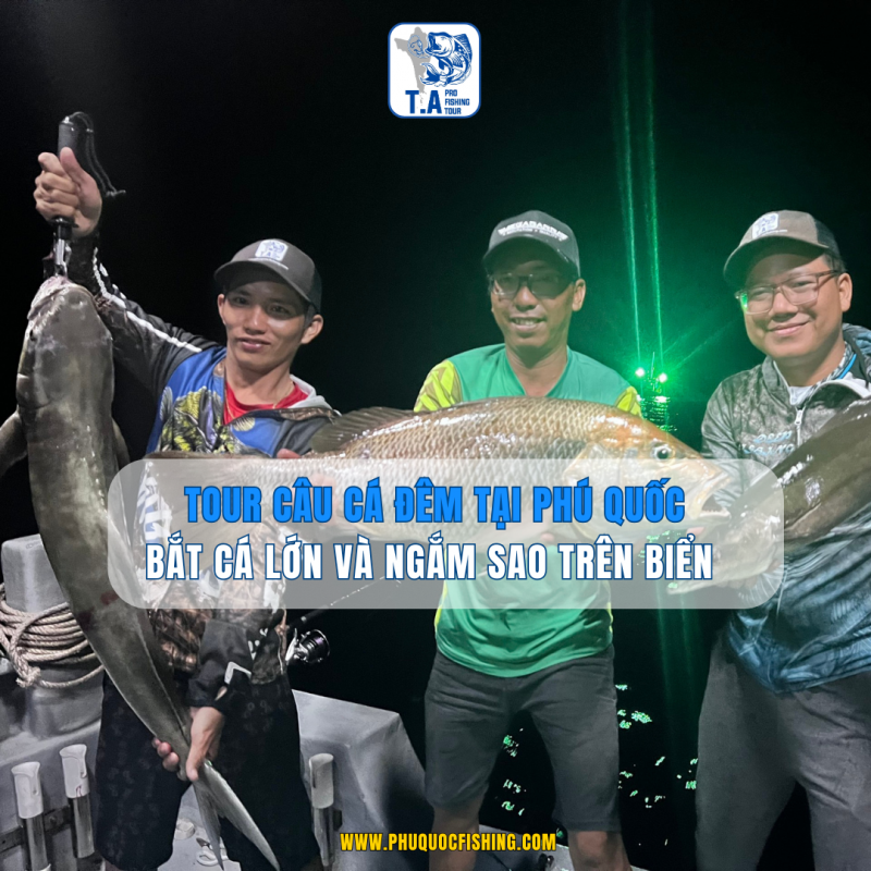 Tour câu cá đêm tại Phú Quốc: bắt cá lớn và ngắm sao trên biển