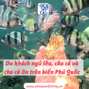 Du khách ngủ lều, câu cá và cho cá ăn trên biển Phú Quốc
